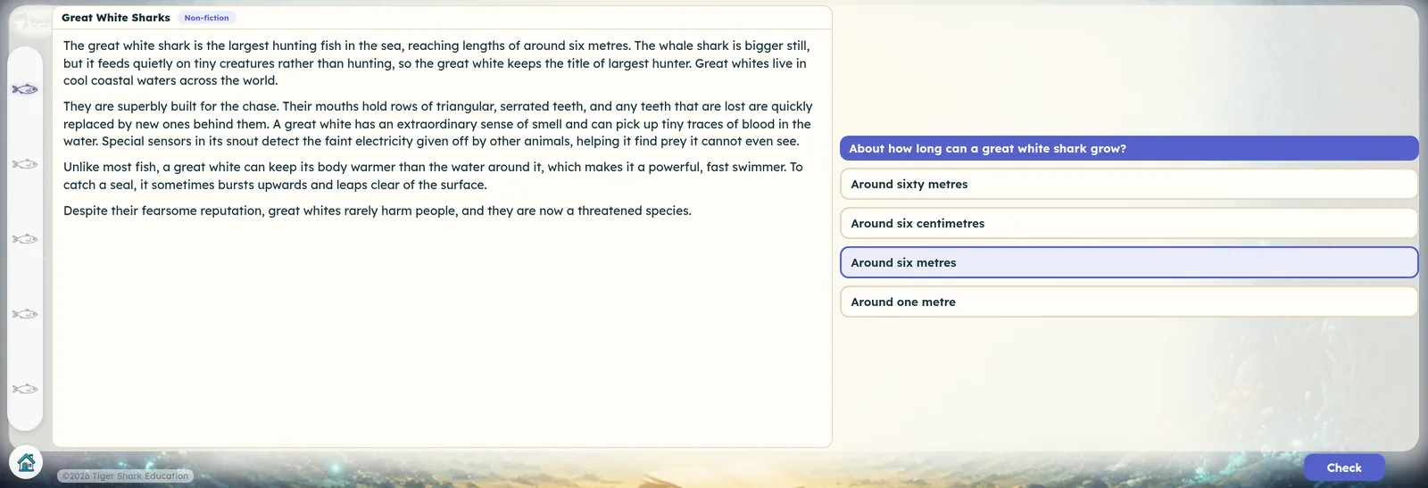 A non-fiction passage about great white sharks with a comprehension question alongside it
